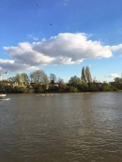 17390532_10155196974183501_361234269184904121_o